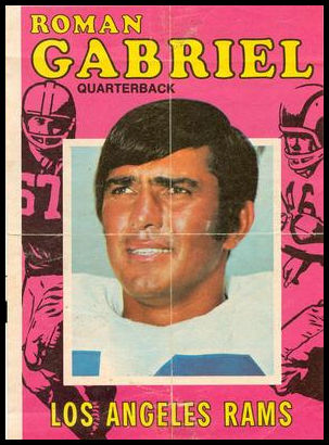 8 Roman Gabriel